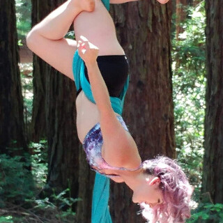 Acrobat-in-Woods